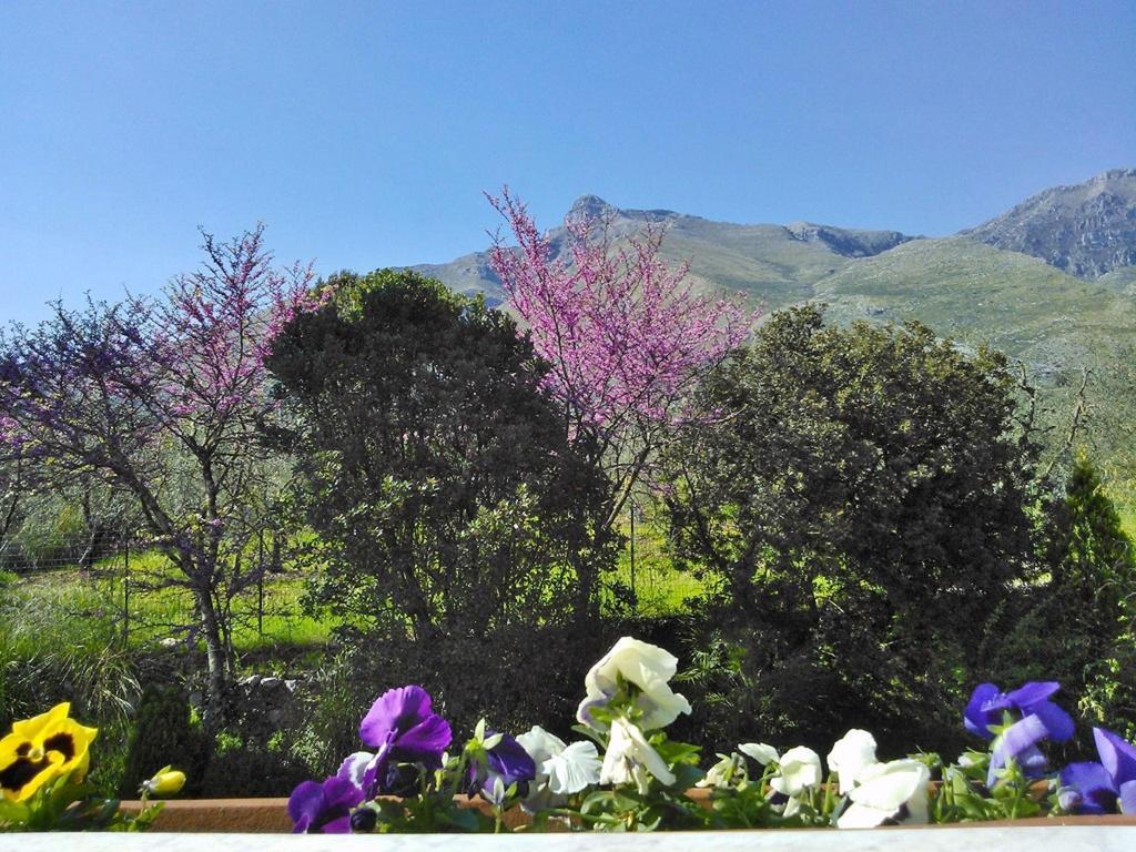 B&B Villa Ada Formia Zewnętrze zdjęcie