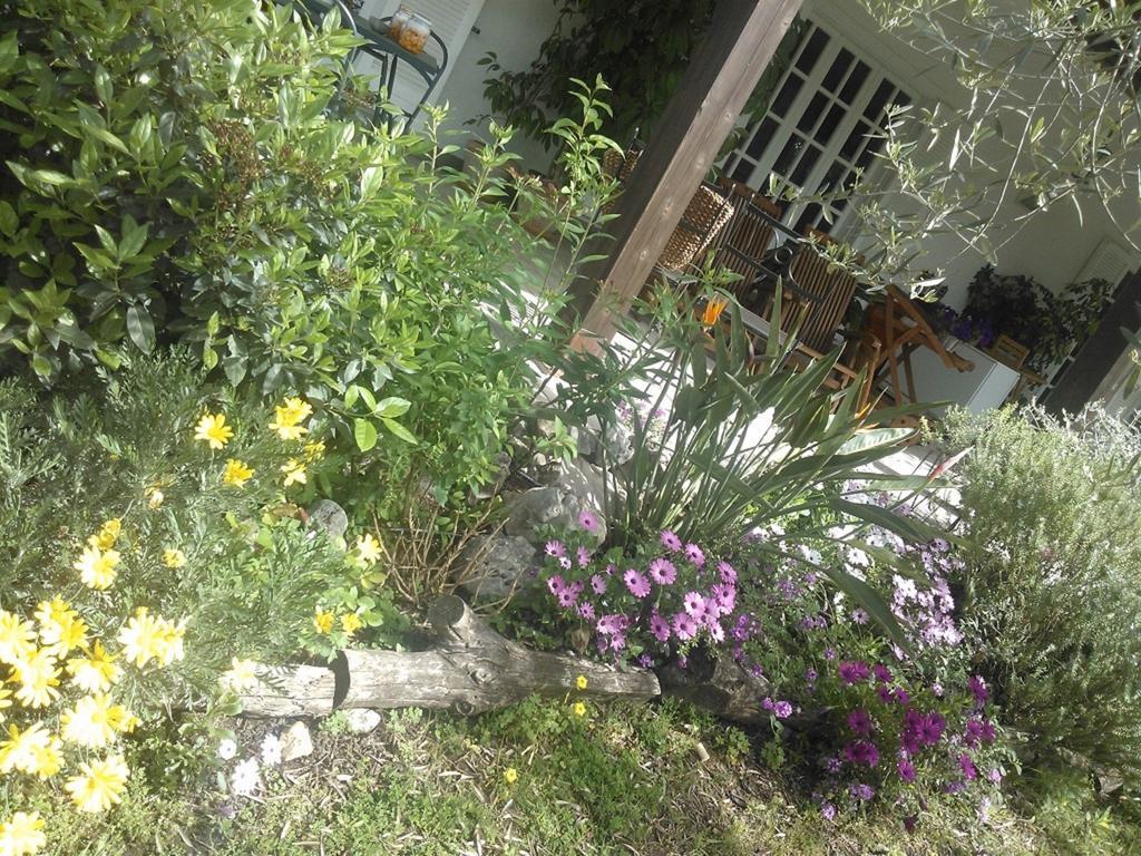 B&B Villa Ada Formia Zewnętrze zdjęcie