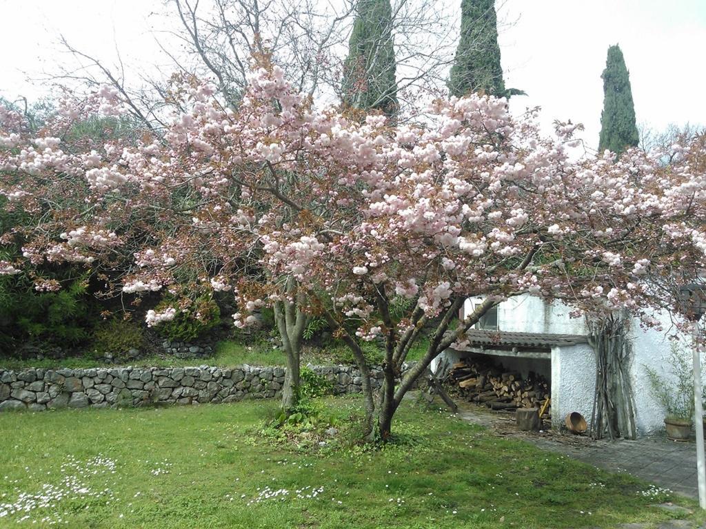 B&B Villa Ada Formia Zewnętrze zdjęcie