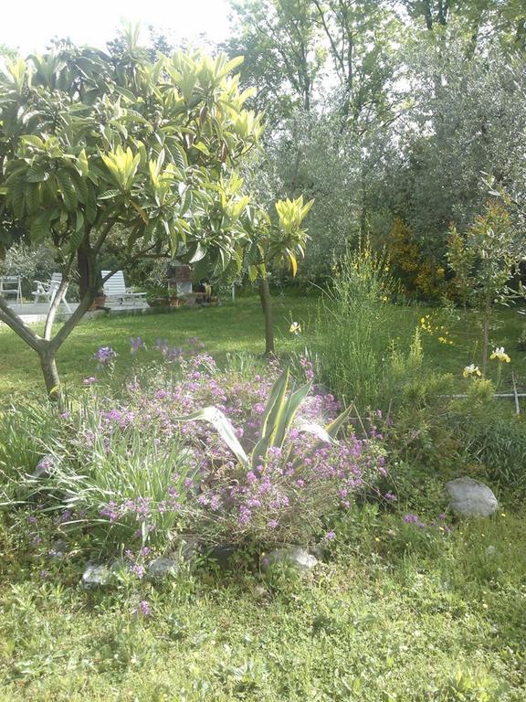 B&B Villa Ada Formia Zewnętrze zdjęcie