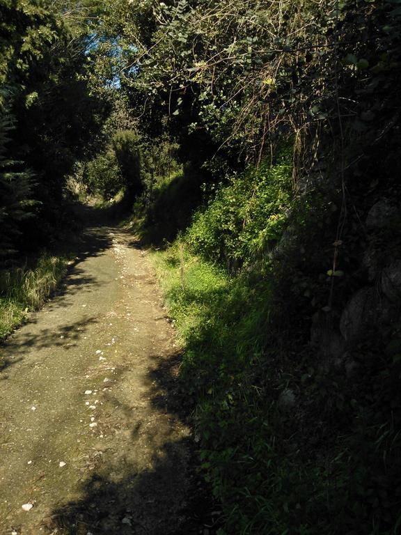 B&B Villa Ada Formia Zewnętrze zdjęcie